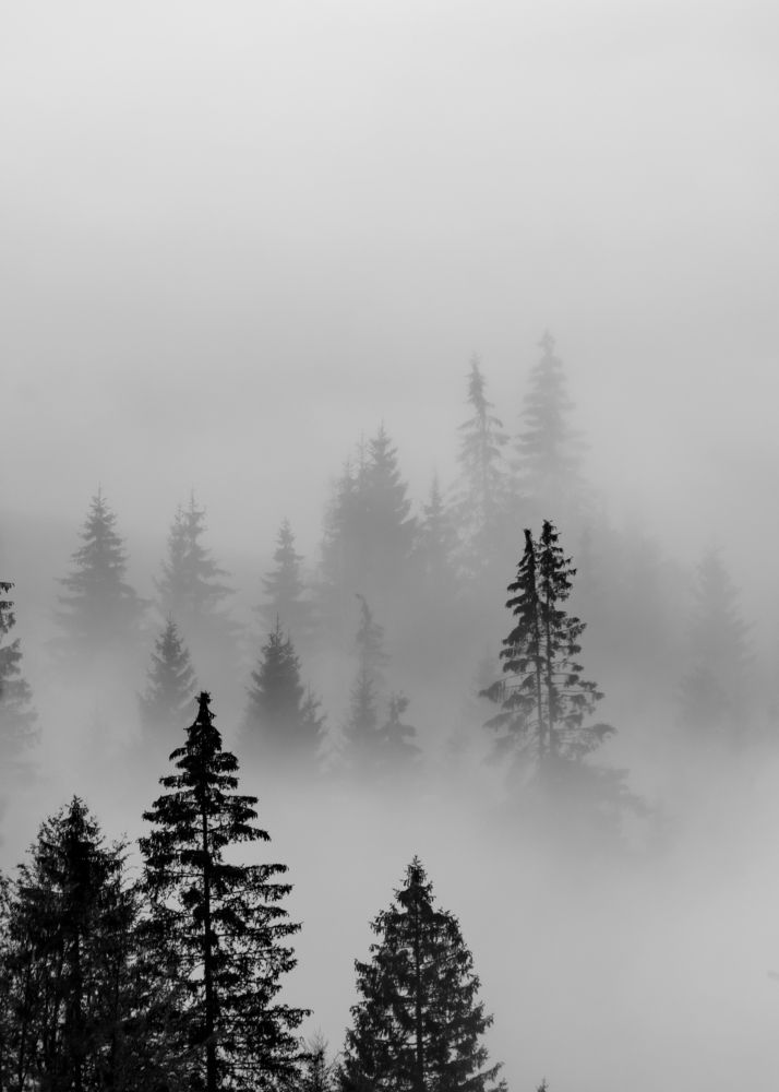 Photograph by Sergiu Vasile Bejan