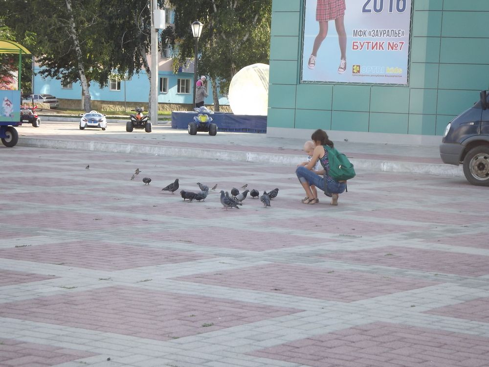 Photo #7136568