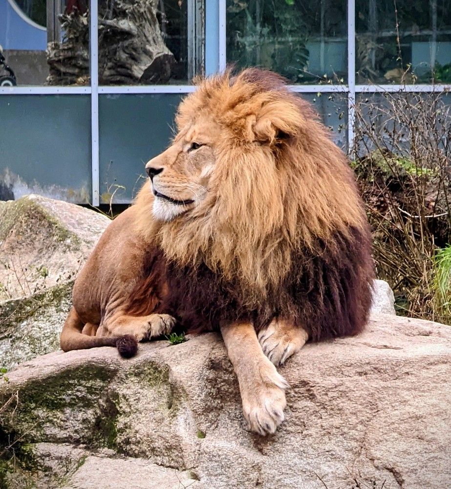 Photograph by Nika Rodionova