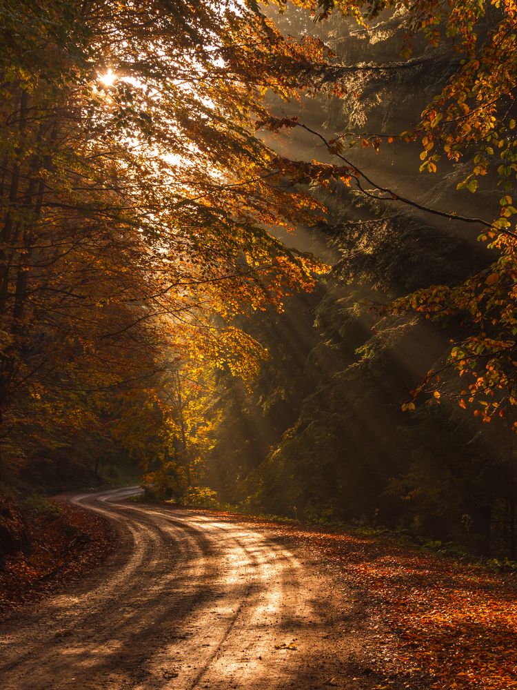 Photograph by Sergiu Vasile Bejan