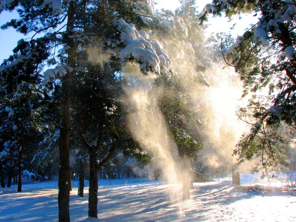 Фотография автора Сергей Дёмин