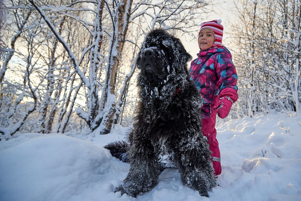 Photograph by Ксения Щербань