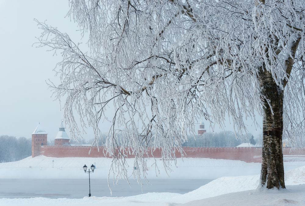 Photograph by Александр Парамонов