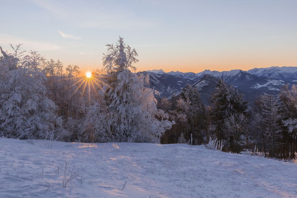 Фотография автора Guzel Kolobova