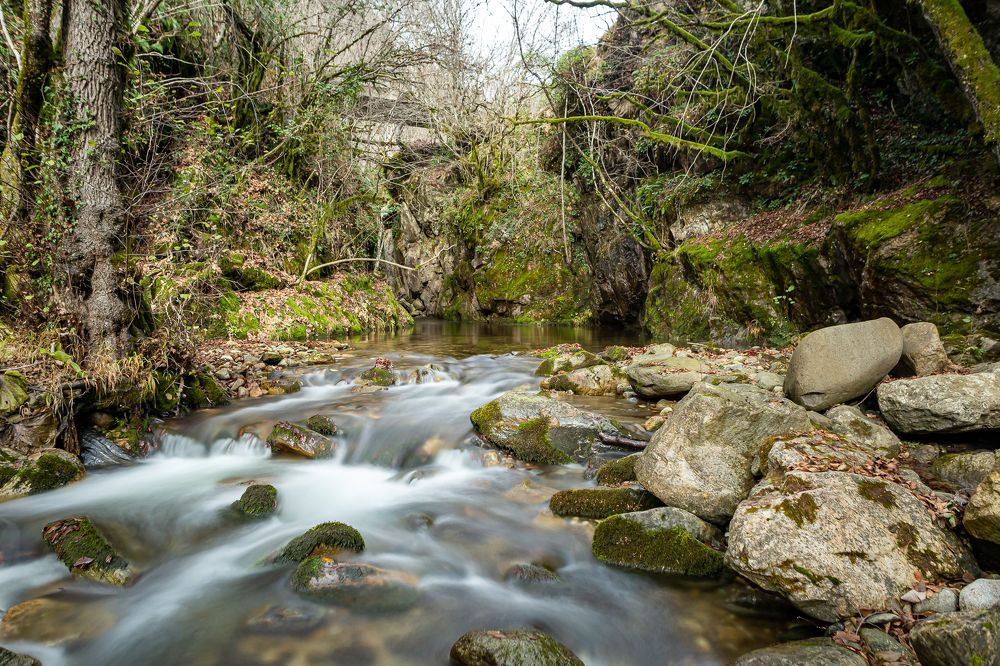 Photograph by Evgeny Ruban