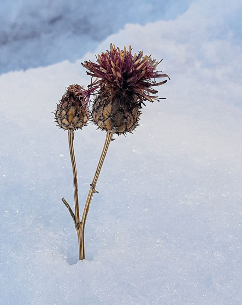 Photograph by Людмила