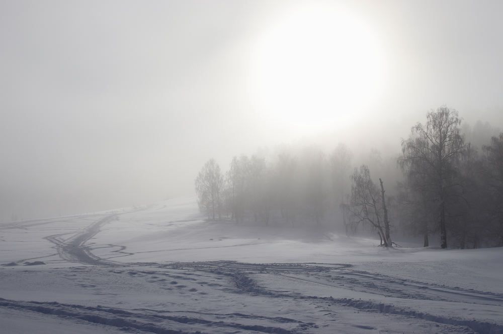 Photograph by Рания Шарипова