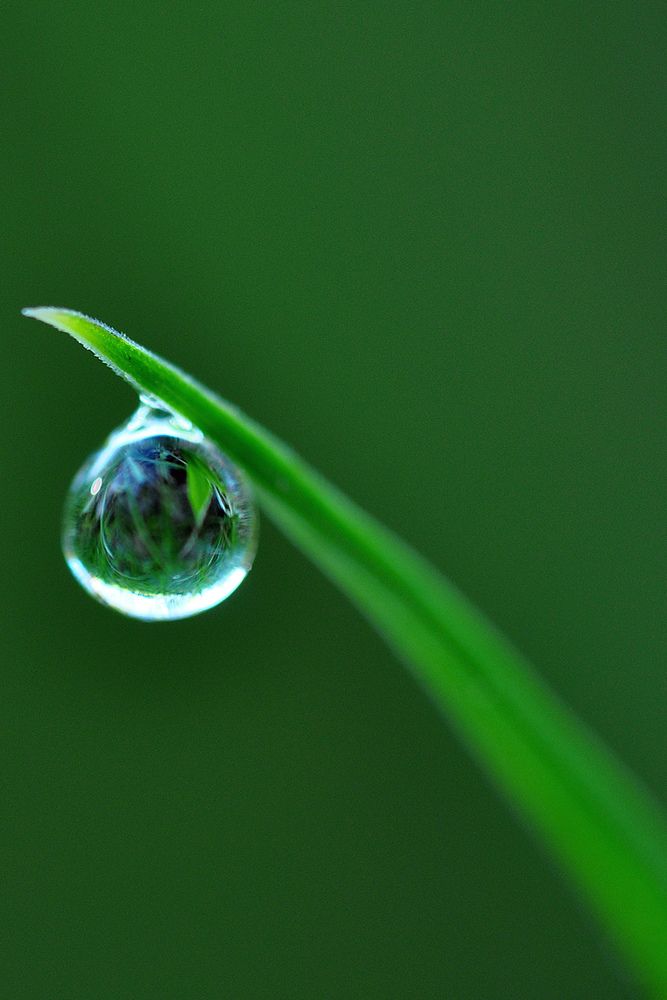 Photograph by Валентин