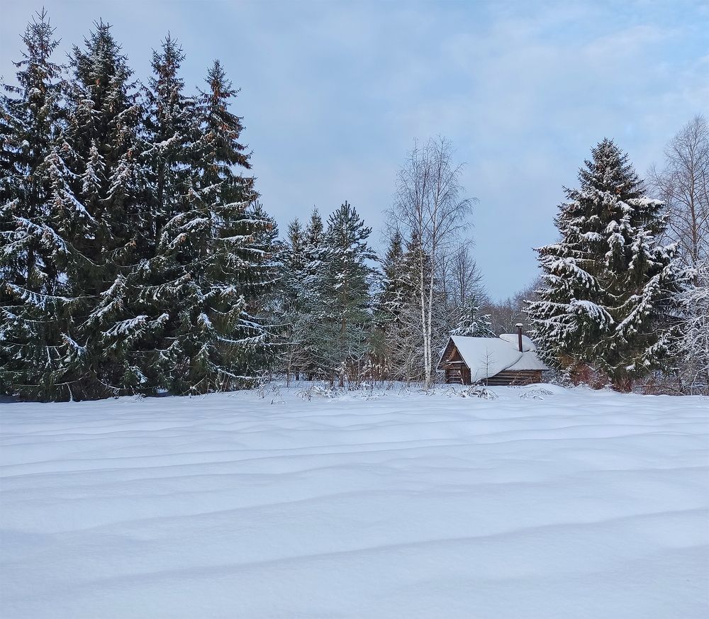 Photograph by Алексей