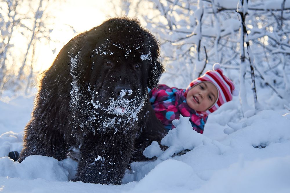Photograph by Ксения Щербань