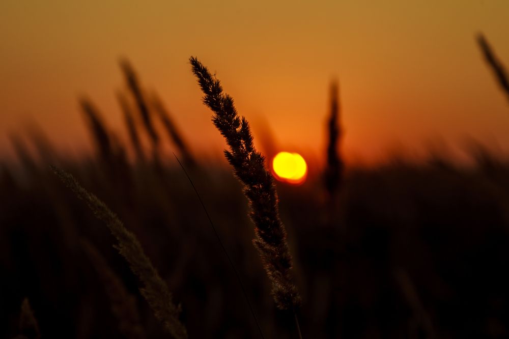 Photograph by Артур Нариманян