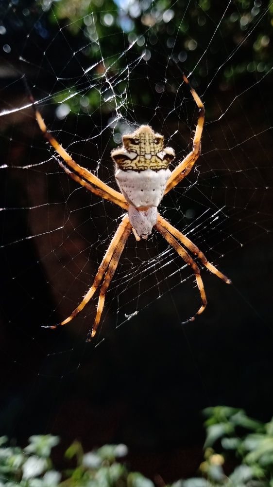 Photograph by Maria de los Angeles Osorio