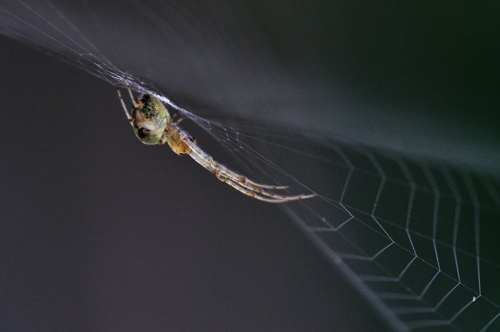 Photograph by Валентин