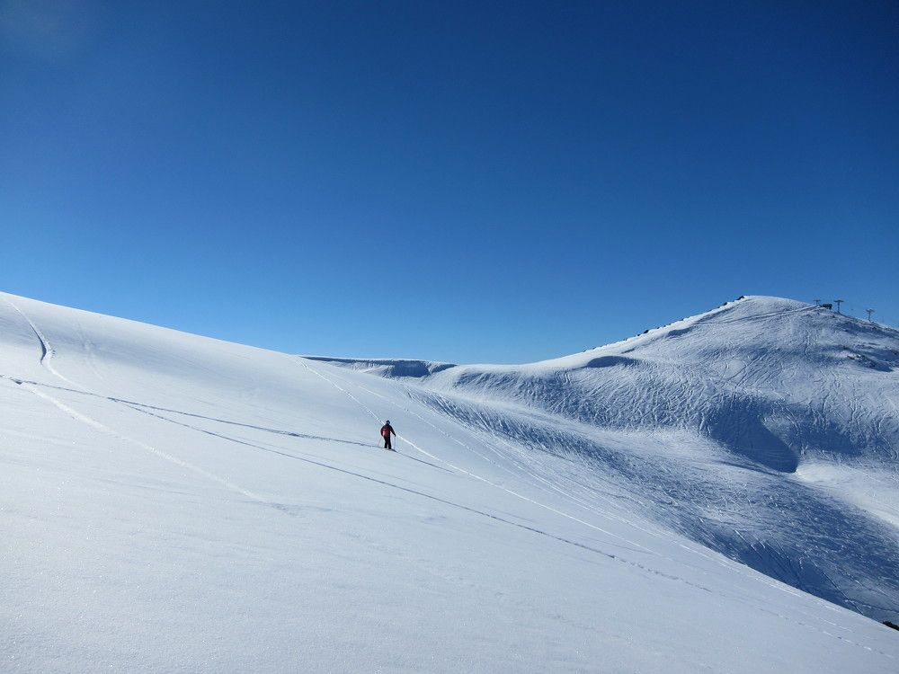 Photo #7136896