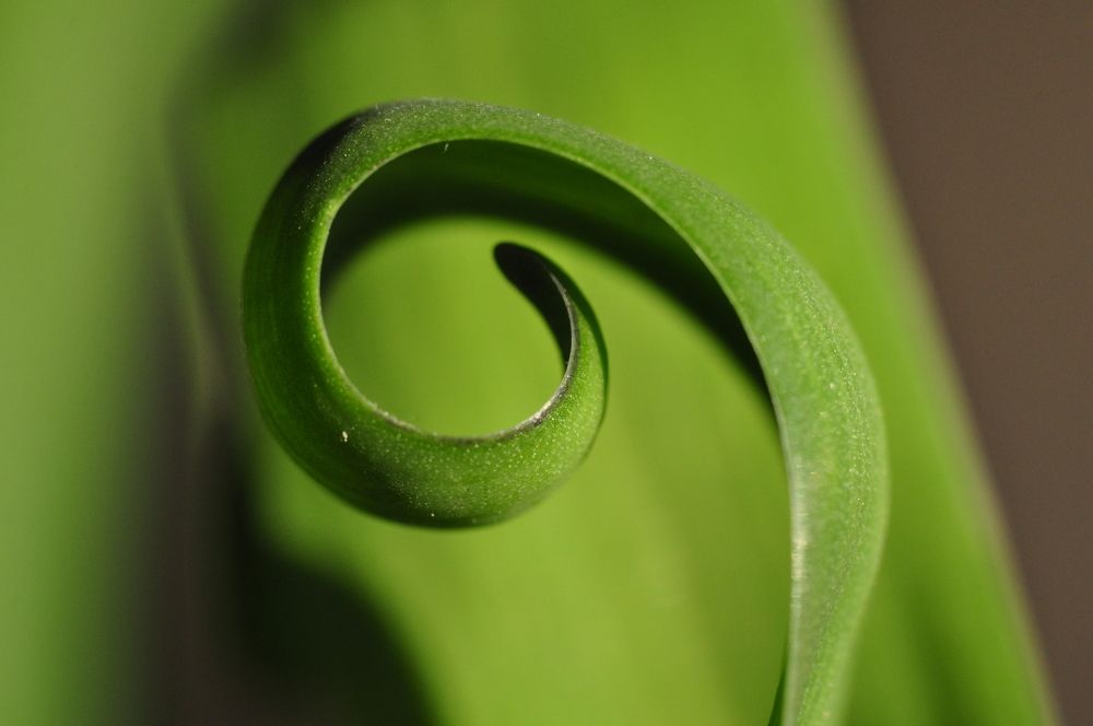 Photograph by Валентин