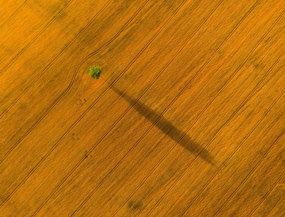 Photograph by Николай Брытков