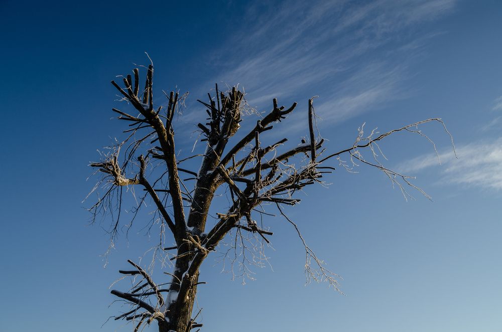 Photograph by Александр Парамонов