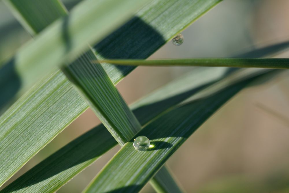 Photograph by Валентин