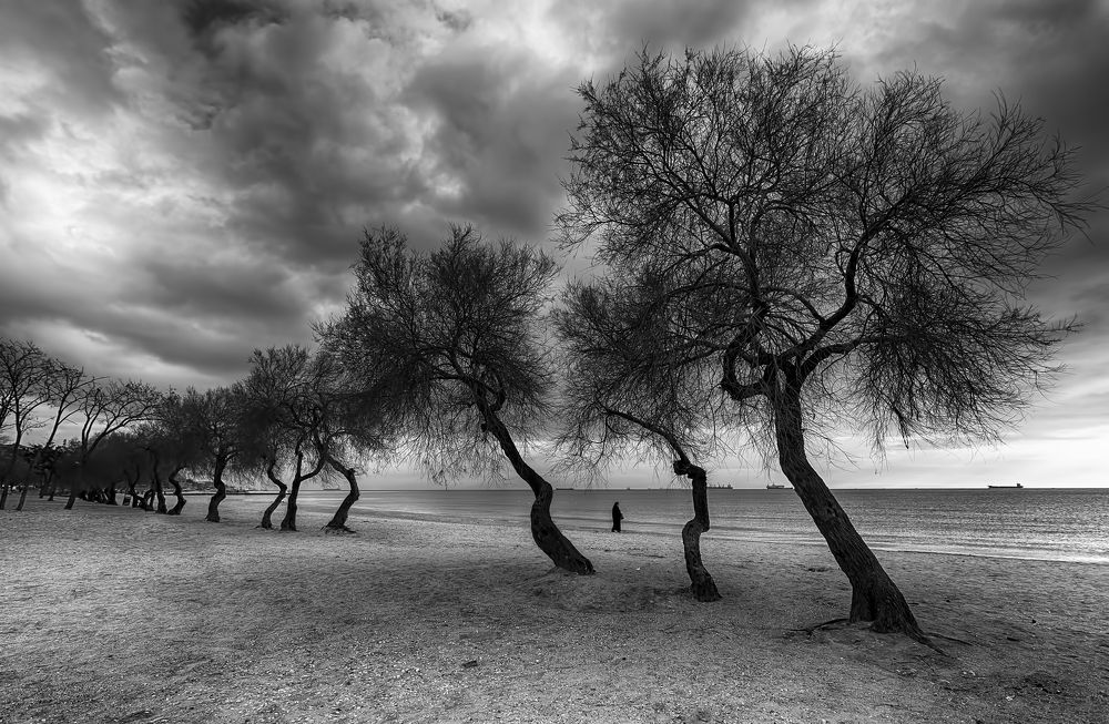 Фотография автора AYLIN EROZCAN