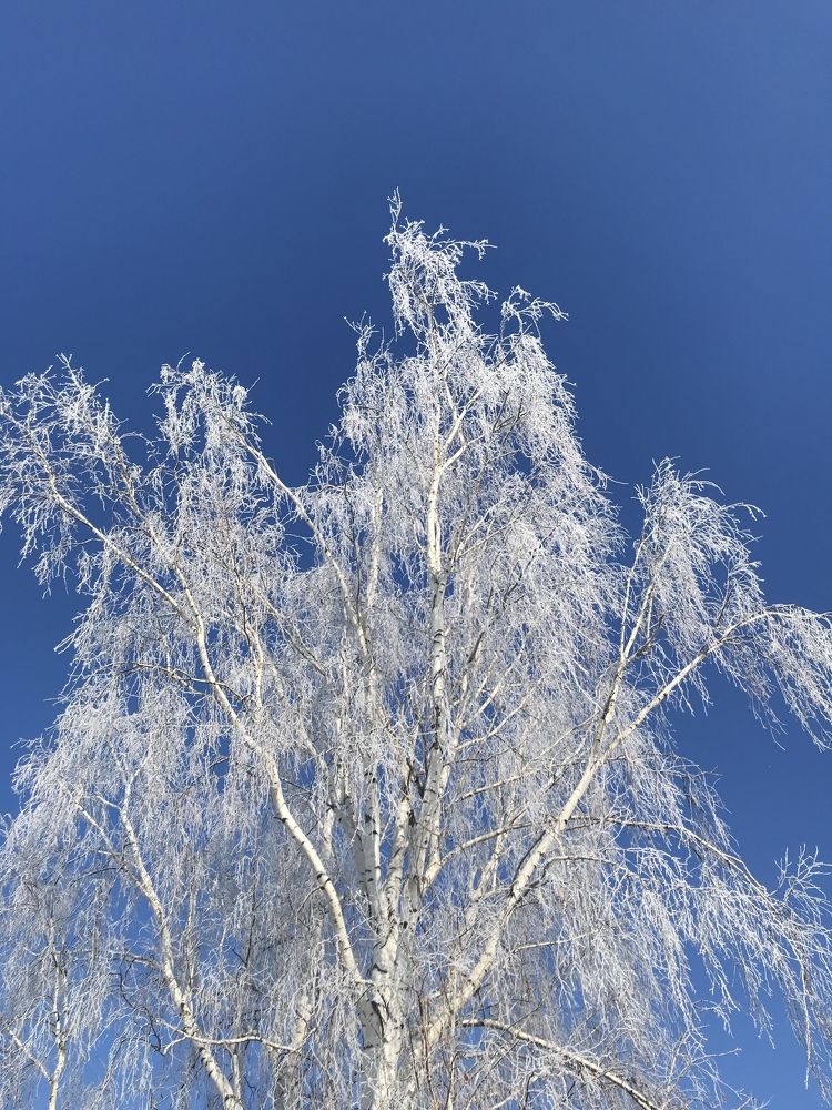 Photograph by Елена Сиушова