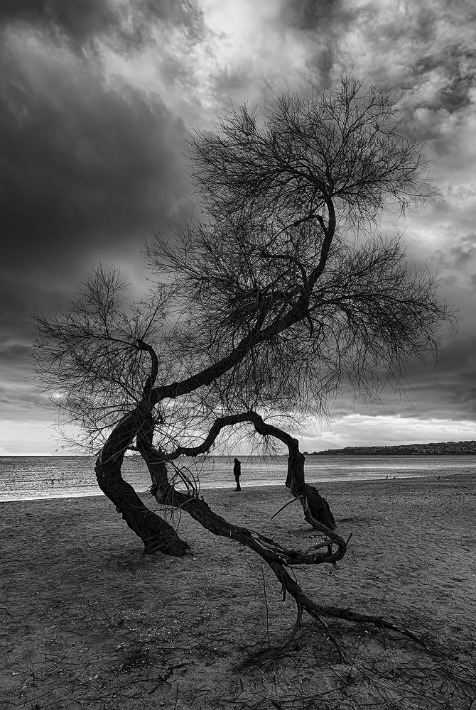 Фотография автора AYLIN EROZCAN