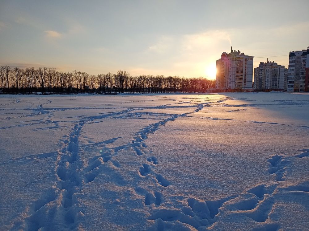 Photo #7136992