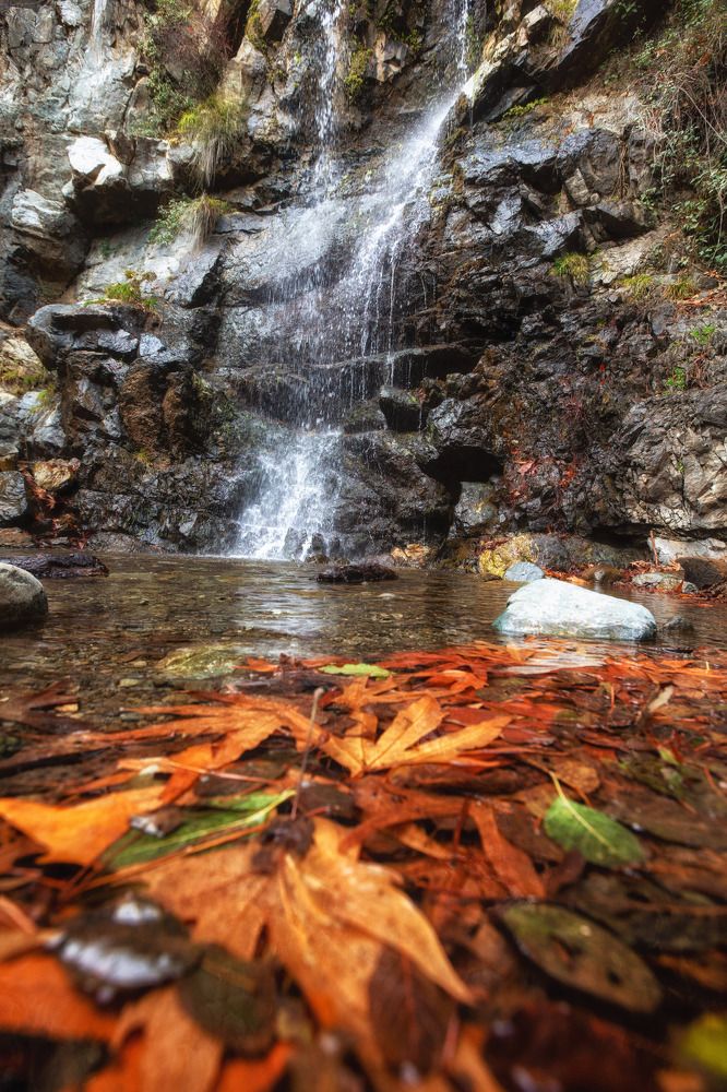 Photograph by Alfia Safuanova