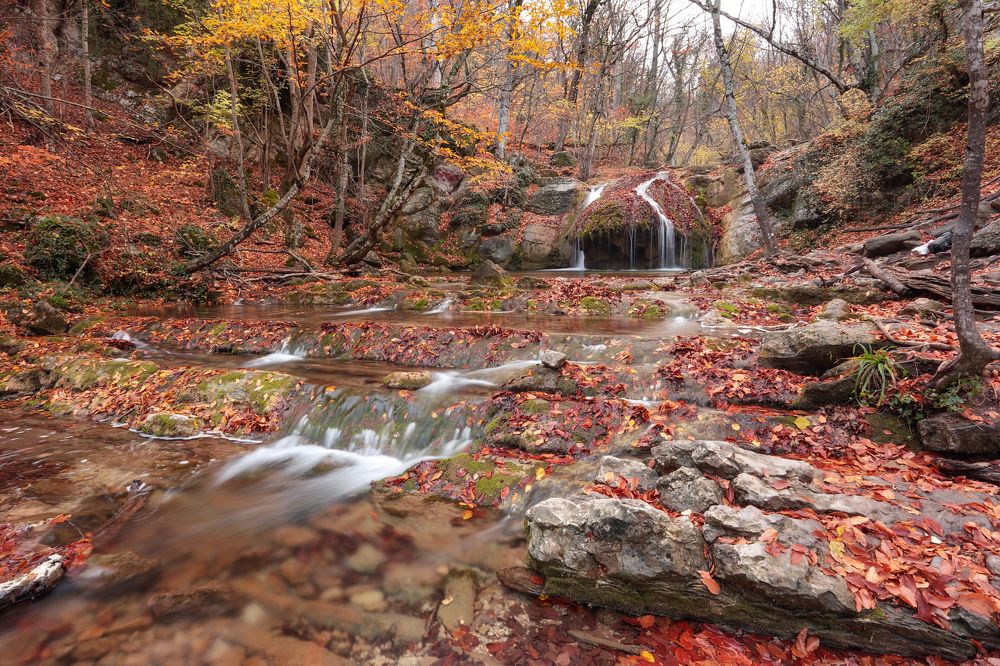 Photograph by Анастасия Калинцева