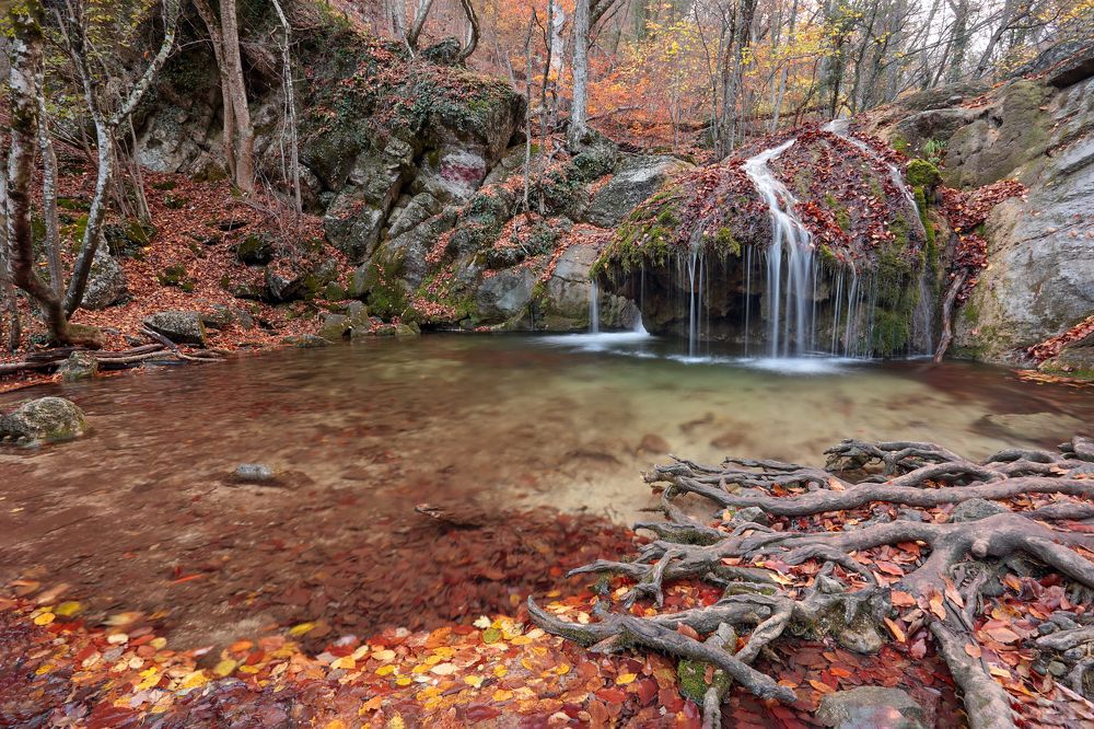 Photograph by Анастасия Калинцева