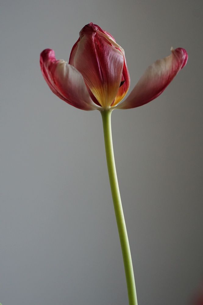 Photograph by Виктория