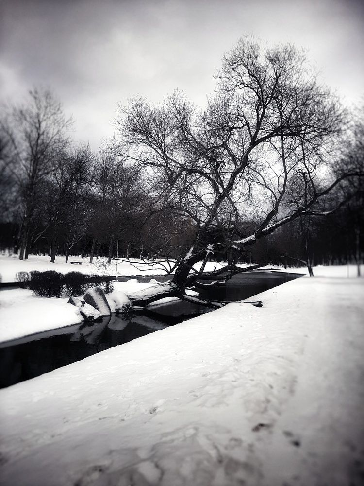 Photograph by Оксана Корепанова