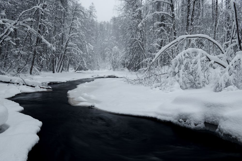 Photograph by Александр Семёнов