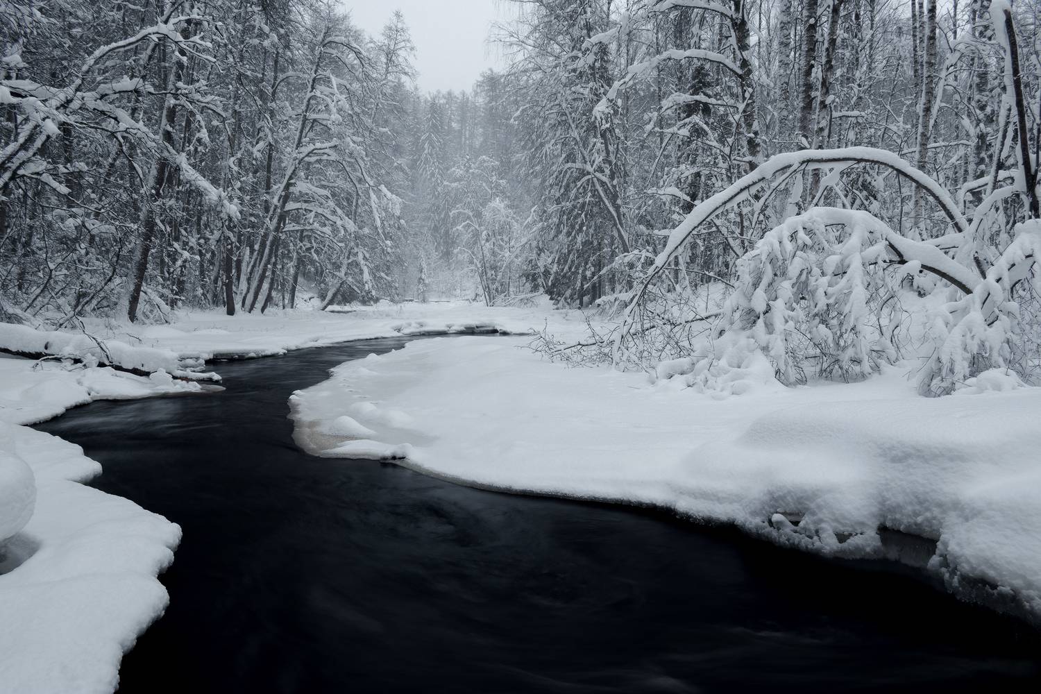 Photo #7137167