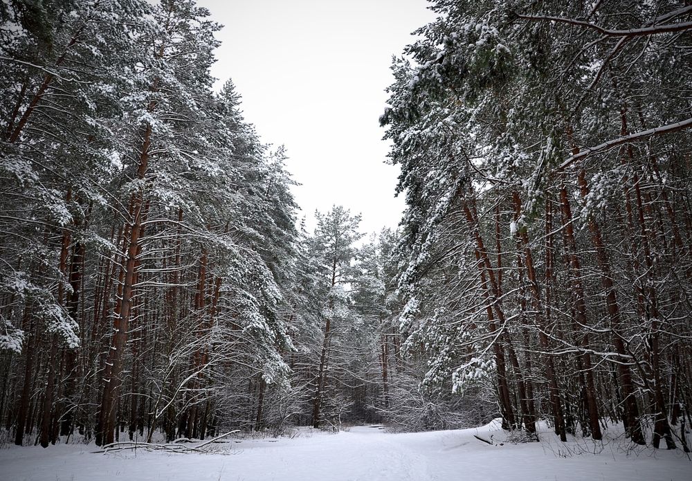 Photograph by Наталья Ивочкина