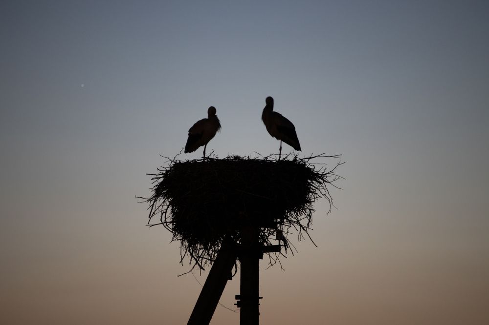 Photograph by Парфентьев Антон