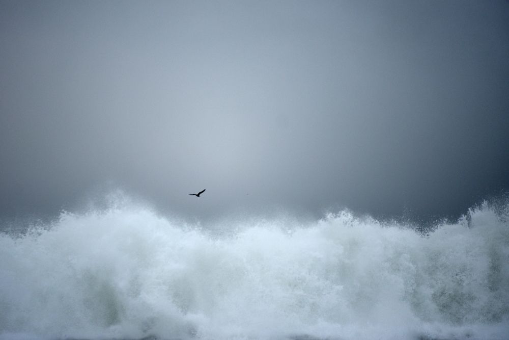 Photograph by Наталья Ляшенко