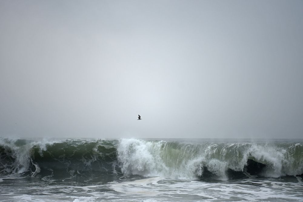 Photograph by Наталья Ляшенко