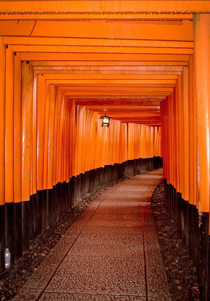 Photograph by Elena Vill