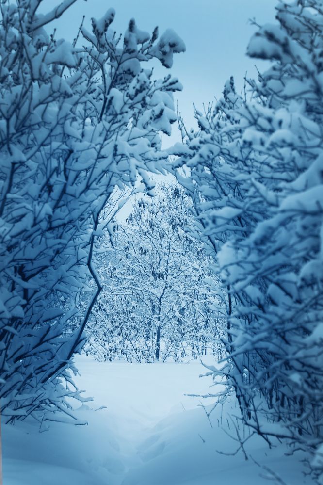 Photograph by Дарья Юсарева