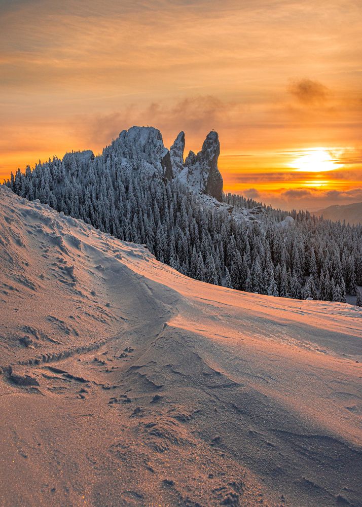 Photograph by Sergiu Vasile Bejan