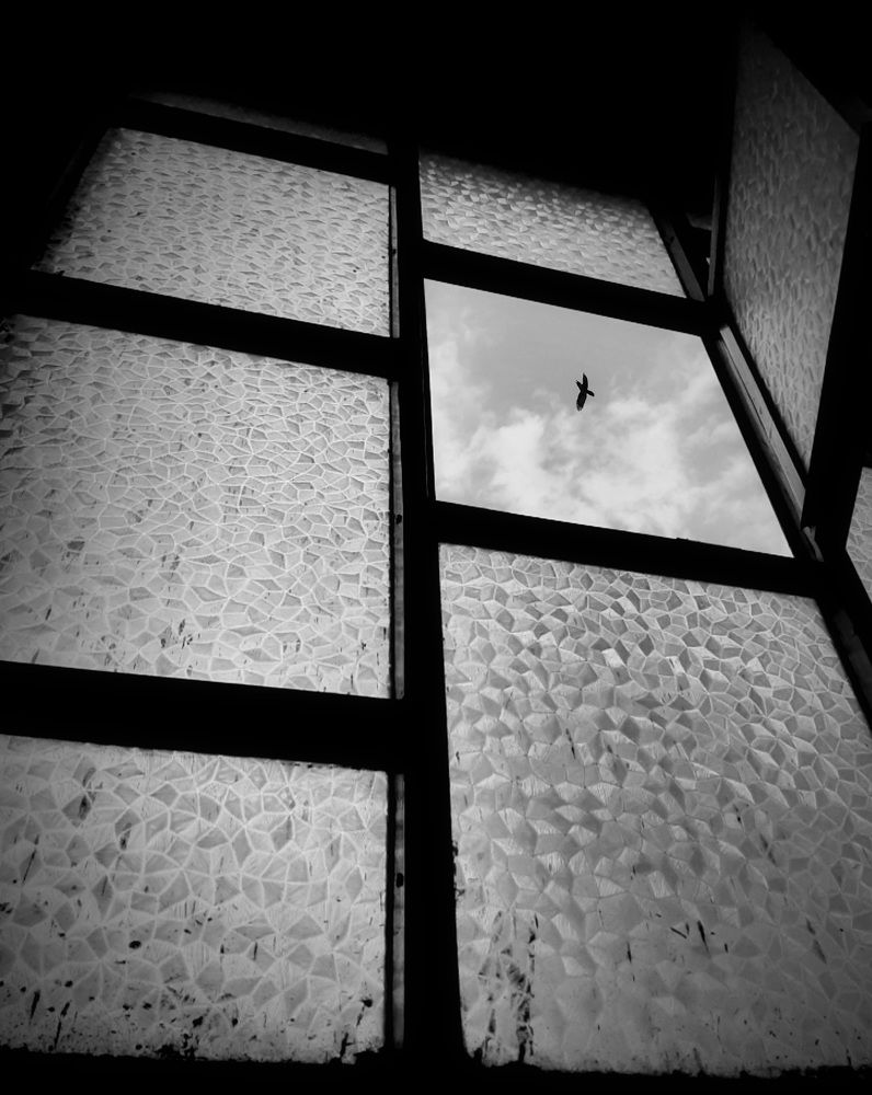 Photograph by shahin mansouri