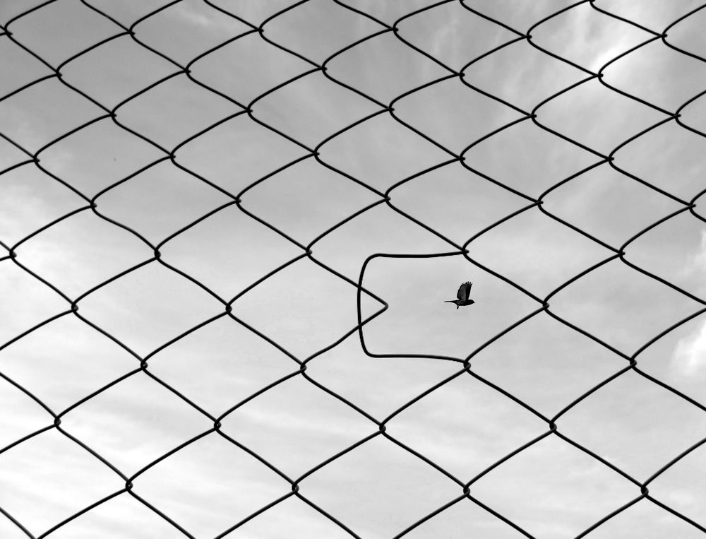 Photograph by shahin mansouri