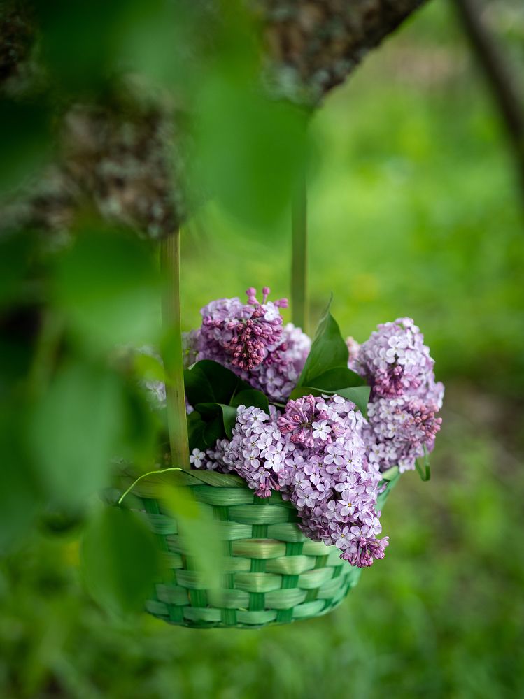 Photograph by Маргарита Ивкова