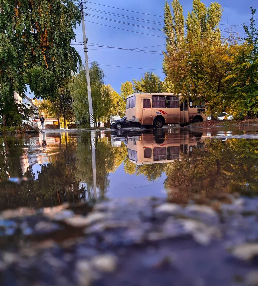 Photograph by Людмила