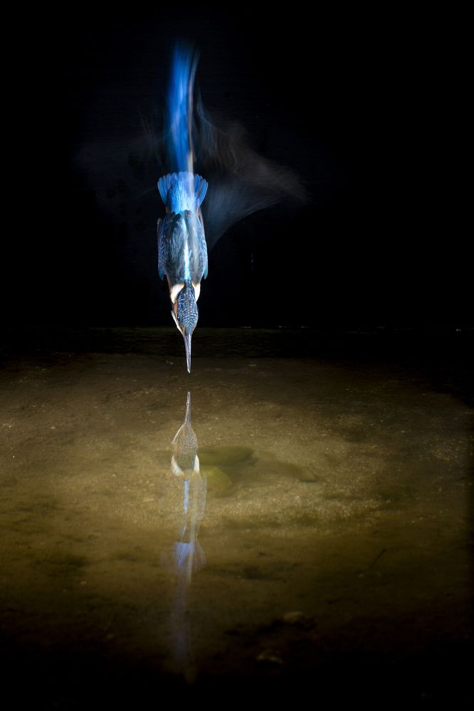 Photograph by Nicolas Reusens