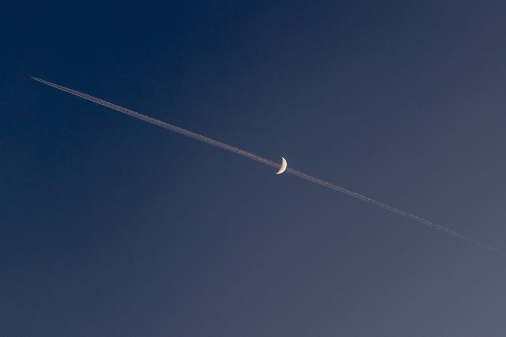 Photograph by Elena Vill