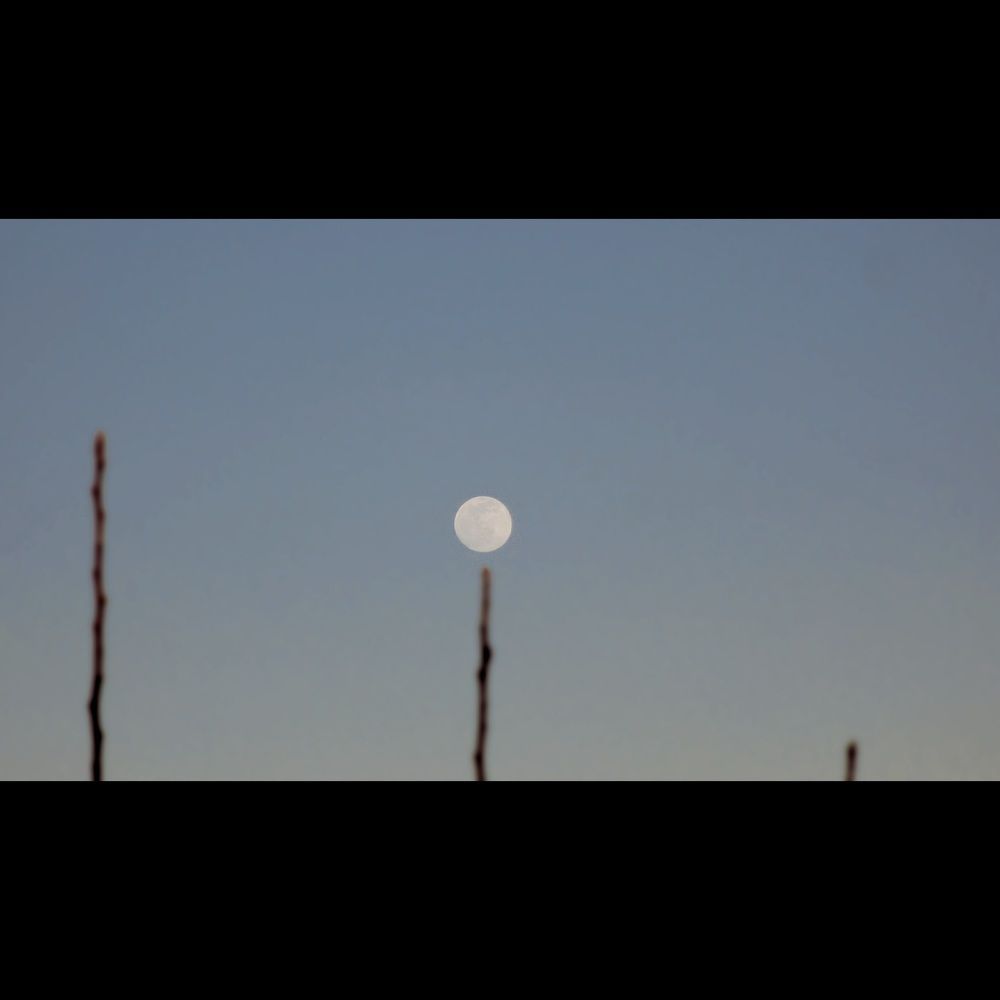 Photograph by shahin mansouri