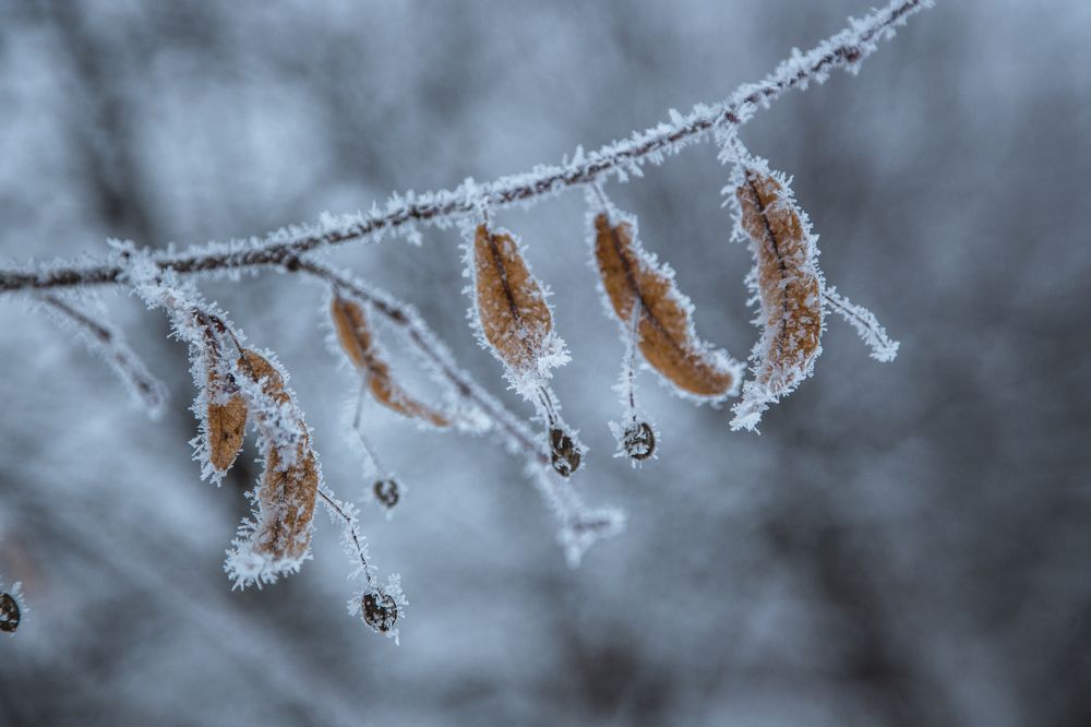 Фотография автора Станислава Гордеева