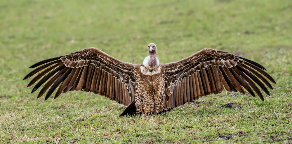 Фотография автора Sajeev Krishnan