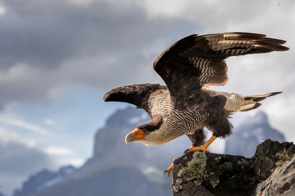 Photograph by Roman Bevzenko